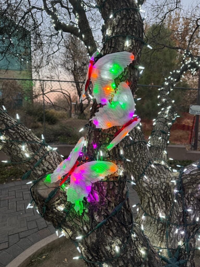 River of Lights Butterflies